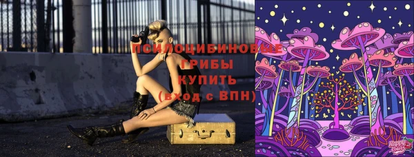 не бодяженный Арсеньев